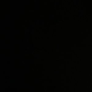 Meet your Posher, Adrian